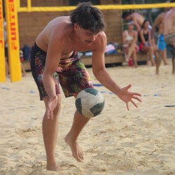 Short JUNGLE édition...