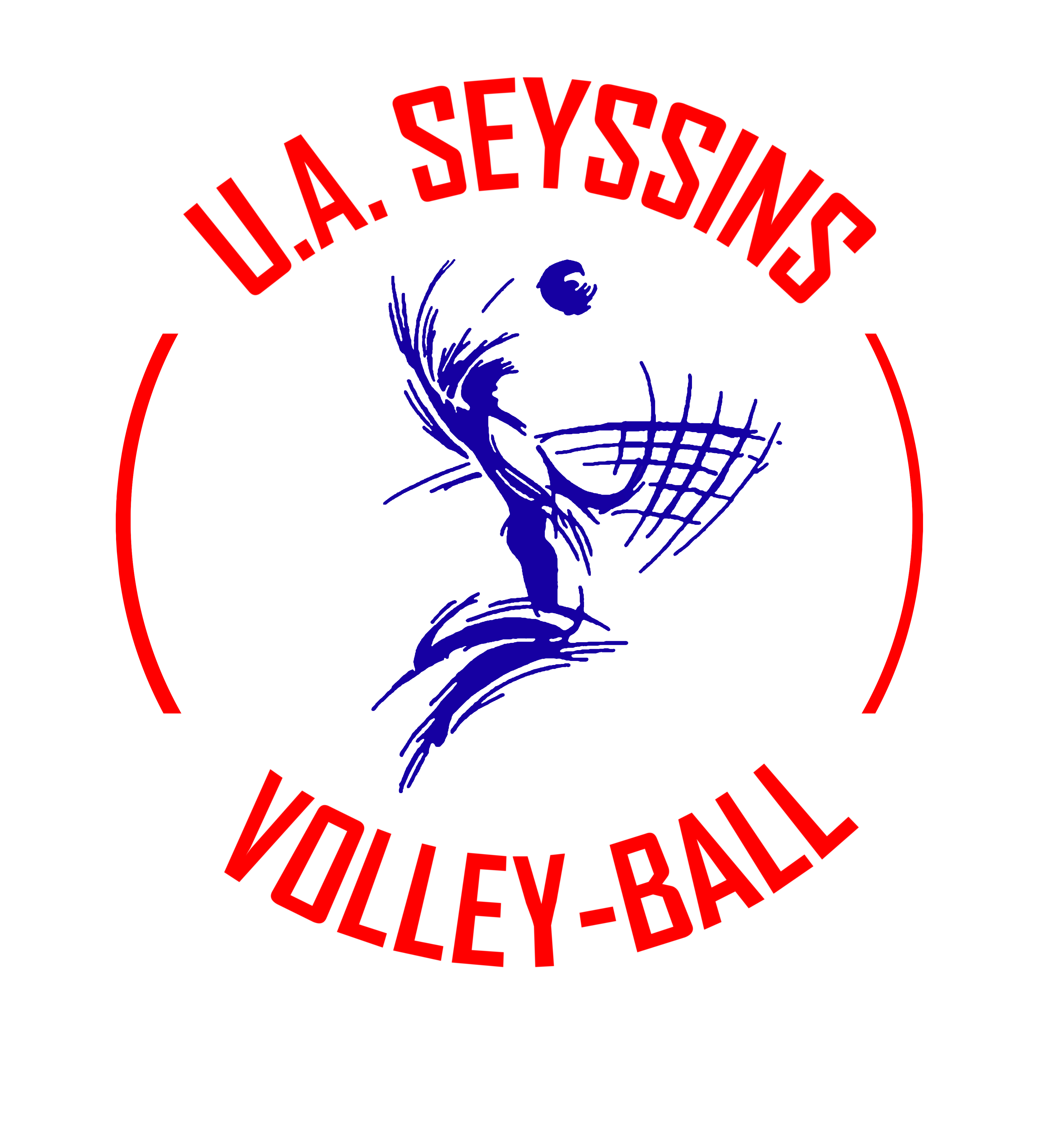 Logo Seyssins Volley écusson (sans fond).png